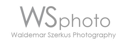 vsplogoportrait