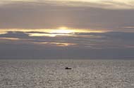 A fishing boat at work, Cromer, Norfolk
